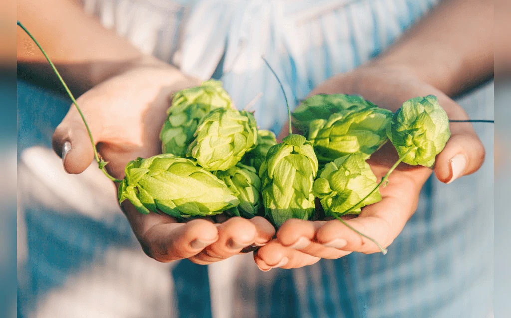 رازک پوست را جوان نگه می‌دارد