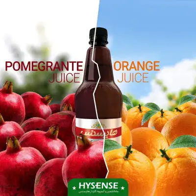 Hysense carbonated juices